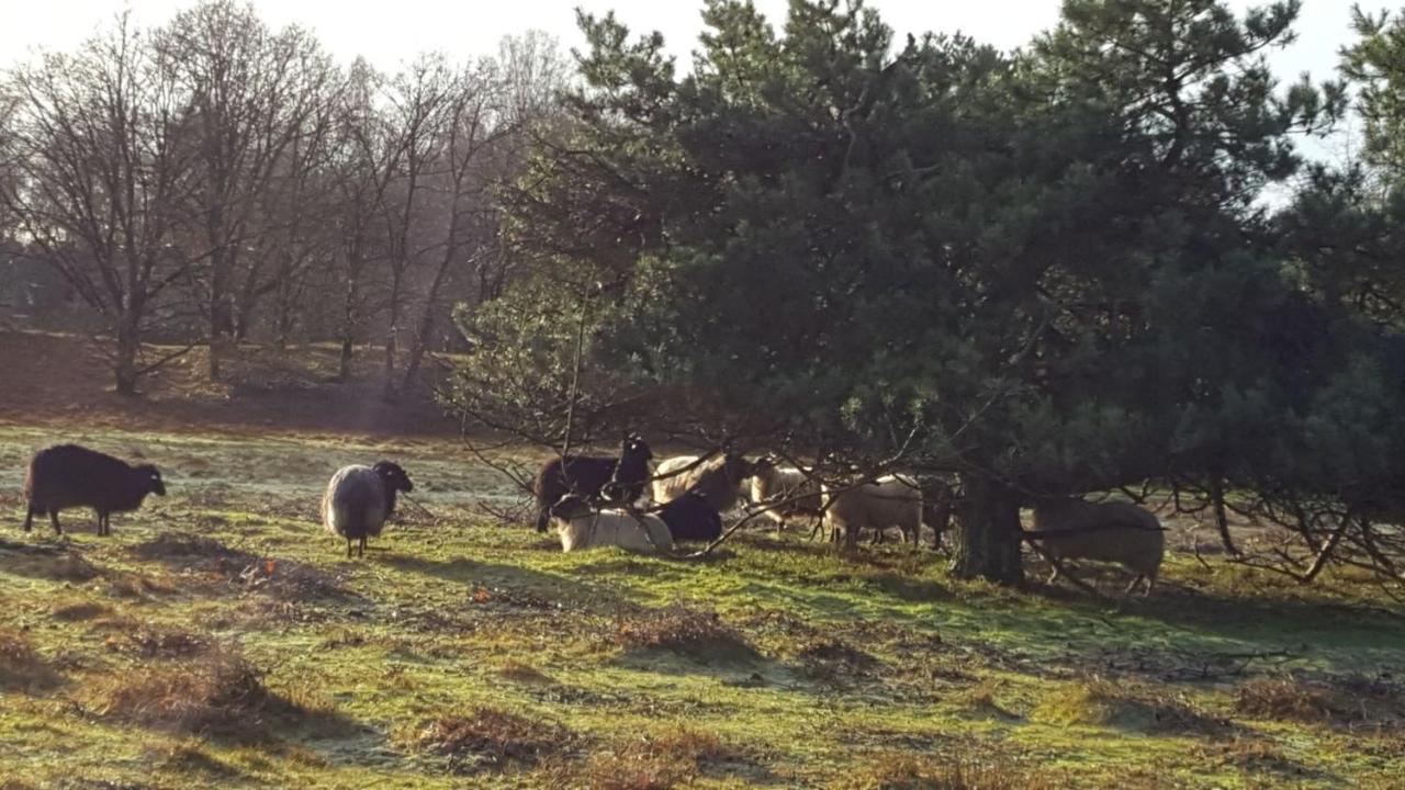 B&B In Ons Straatje Rosmalen Bagian luar foto