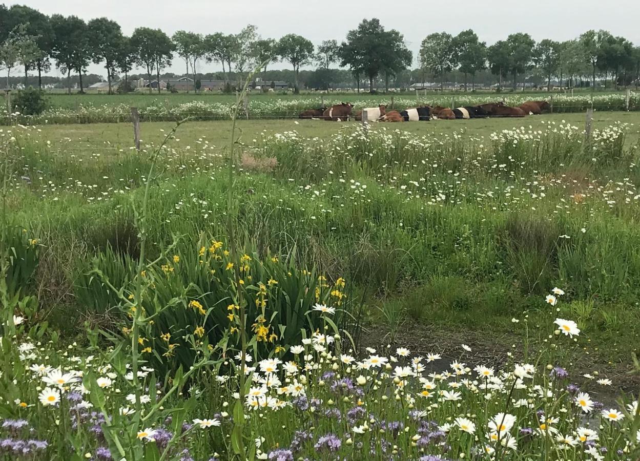 B&B In Ons Straatje Rosmalen Bagian luar foto