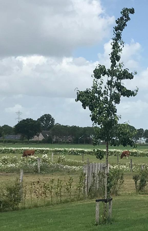 B&B In Ons Straatje Rosmalen Bagian luar foto